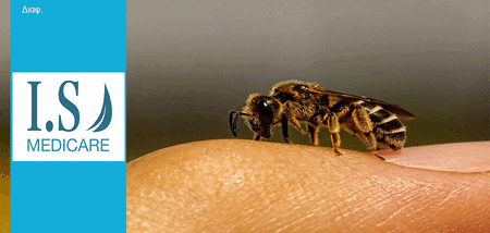 Πρώτες βοήθειες για τσίμπημα μέλισσας, σφήκας cover image