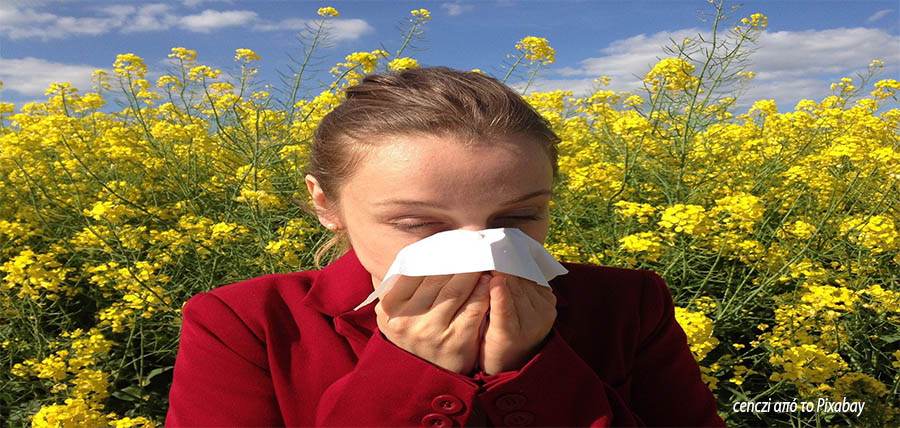 Τι είναι η αλλεργία; Πώς εκδηλώνεται μια αλλεργική αντίδραση; Πώς αντιμετωπίζεται; article cover image
