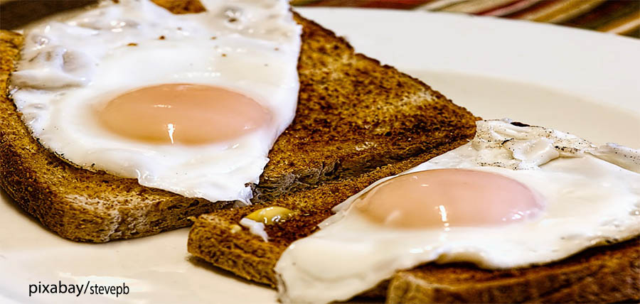 Πόσο ωφέλιμo είναι το αυγό; Πόσα αυγά κάνει να τρώμε; Η αλήθεια με την χοληστερίνη article cover image