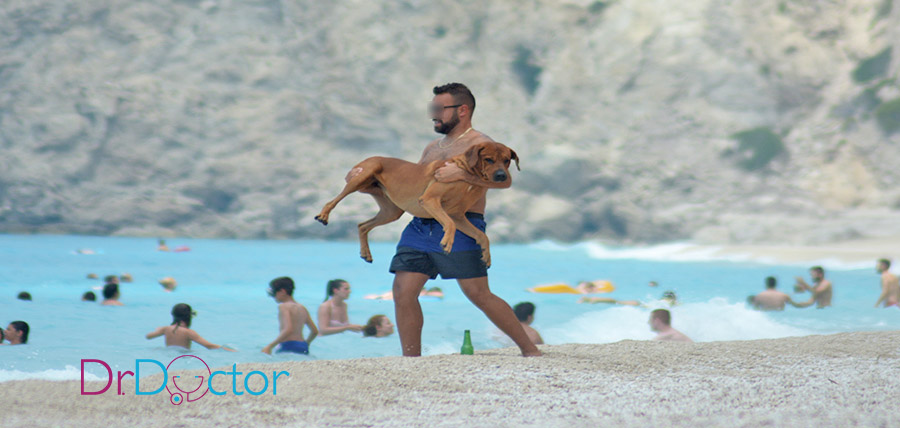 Σκύλος και θάλασσα: Τι να προσέχετε όταν πηγαίνετε μαζί στην παραλία cover image