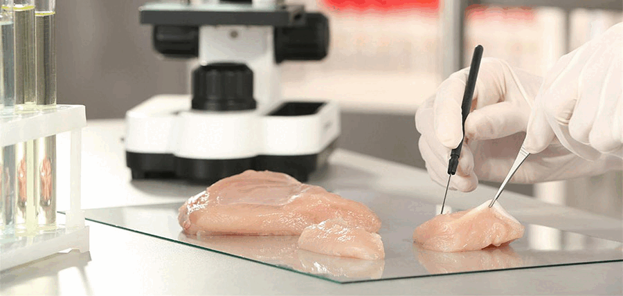 Εγκρίθηκε στις ΗΠΑ το πρώτο κρέας κοτόπουλου που καλλιεργήθηκε στο εργαστήριο cover image