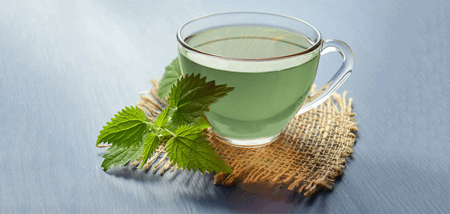 25 Λόγοι για να Πίνετε Πράσινο Τσάι, για να κάνετε καλό στην υγεία σας article cover image